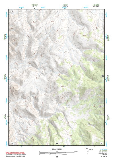 39118NE Page 22 Carson Sink Topo Preview 1