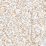 39118NE Page 30 Carson Sink Topo Preview 3