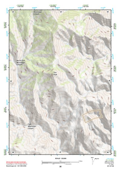 39118NE Page 35 Carson Sink Topo Preview 1