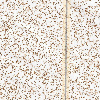 39118NE Page 37 Carson Sink Topo Preview 2