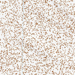 39118NE Page 37 Carson Sink Topo Preview 3