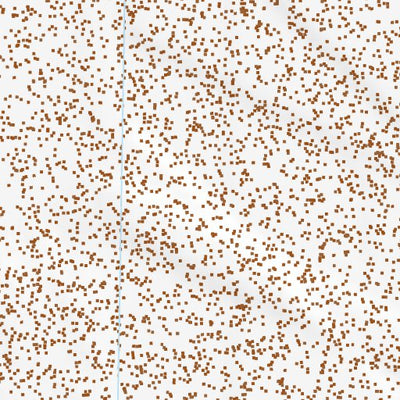 39118NE Page 37 Carson Sink Topo Preview 3