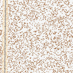 39118NE Page 39 Carson Sink Topo Preview 2