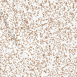 39118NE Page 39 Carson Sink Topo Preview 3