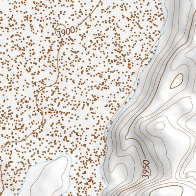 39118NE Page 42 Carson Sink Topo Preview 3