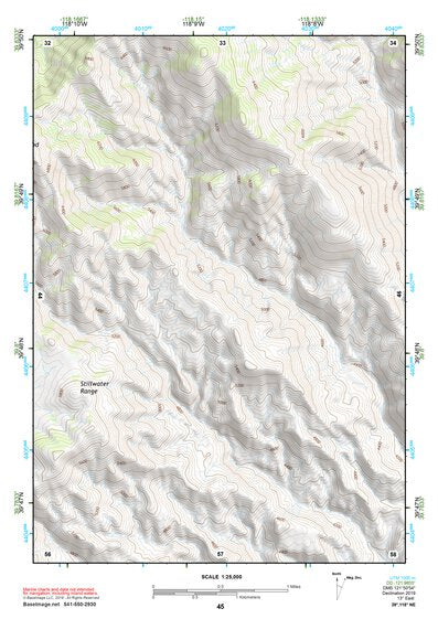 39118NE Page 45 Carson Sink Topo Preview 1