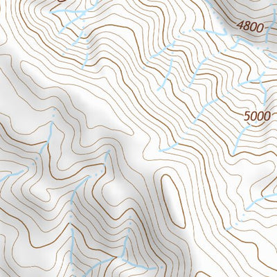 39118NE Page 45 Carson Sink Topo Preview 2
