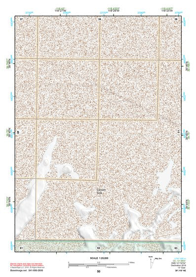 39118NE Page 50 Carson Sink Topo Preview 1