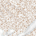 39118NE Page 52 Carson Sink Topo Preview 3