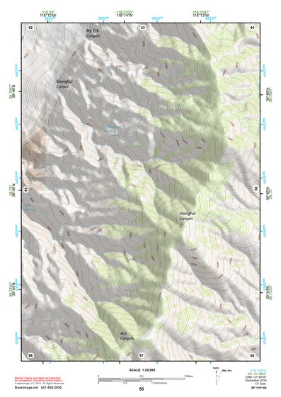 39118NE Page 55 Carson Sink Topo Preview 1