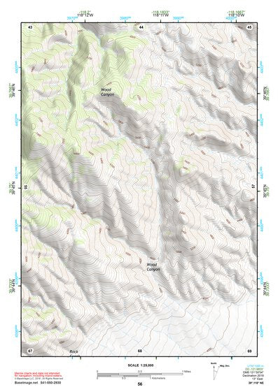 39118NE Page 56 Carson Sink Topo Preview 1