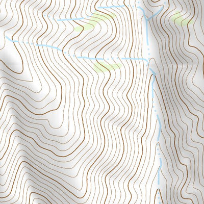 39118NE Page 56 Carson Sink Topo Preview 2
