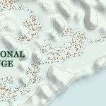 39118NE Page 62 Carson Sink Topo Preview 2
