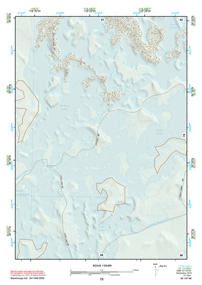 39118NE Page 73 Carson Sink Topo Preview 1