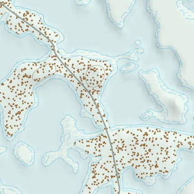 39118NE Page 73 Carson Sink Topo Preview 3