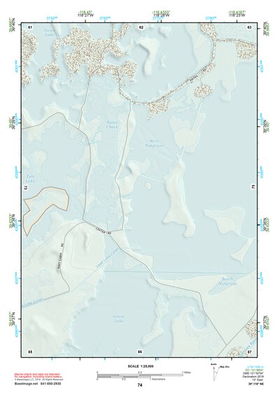 39118NE Page 74 Carson Sink Topo Preview 1