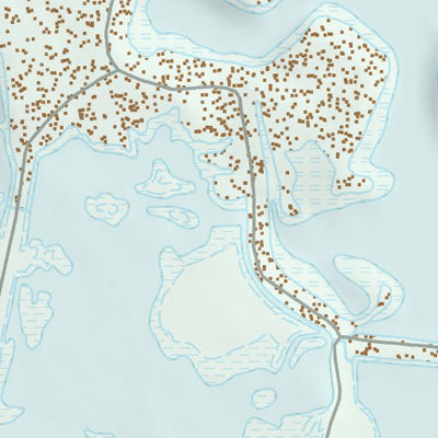 39118NE Page 74 Carson Sink Topo Preview 3