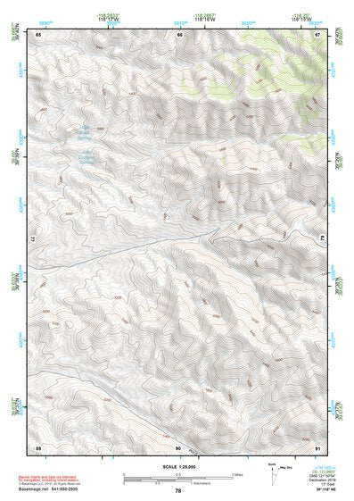 39118NE Page 78 Carson Sink Topo Preview 1