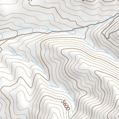 39118NE Page 78 Carson Sink Topo Preview 2