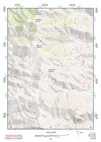 39118NE Page 79 Carson Sink Topo Preview 1