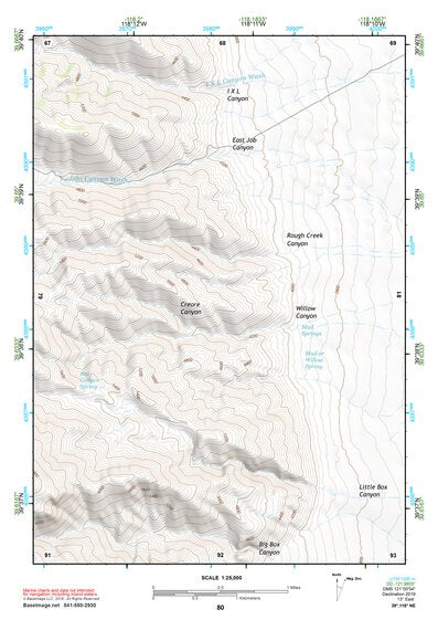 39118NE Page 80 Carson Sink Topo Preview 1