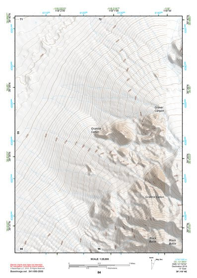 39118NE Page 84 Carson Sink Topo Preview 1