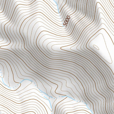 39118NE Page 88 Carson Sink Topo Preview 3