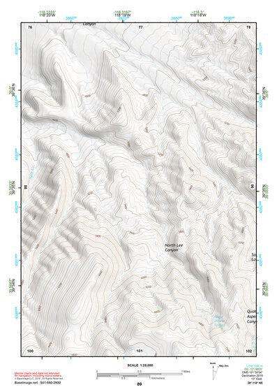 39118NE Page 89 Carson Sink Topo Preview 1