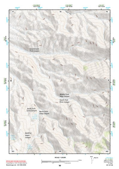 39118NE Page 90 Carson Sink Topo Preview 1