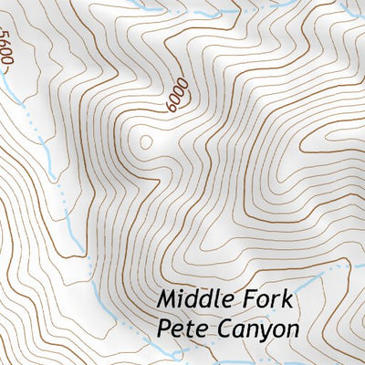39118NE Page 90 Carson Sink Topo Preview 2