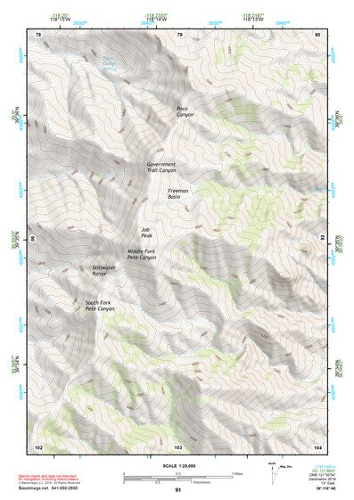 39118NE Page 91 Carson Sink Topo Preview 1