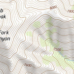 39118NE Page 91 Carson Sink Topo Preview 2