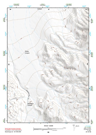 39118NE Page 99 Carson Sink Topo Preview 1