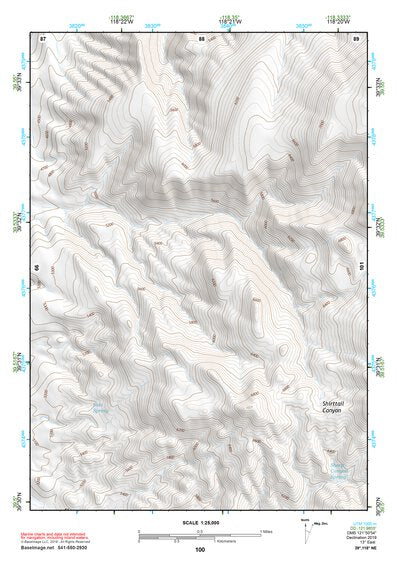 39118NE Page 100 Carson Sink Topo Preview 1