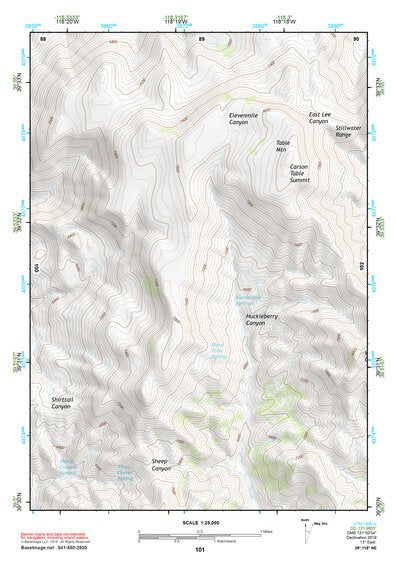 39118NE Page 101 Carson Sink Topo Preview 1