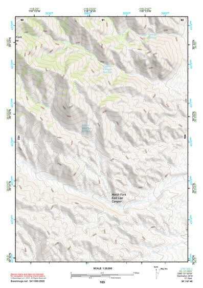 39118NE Page 103 Carson Sink Topo Preview 1
