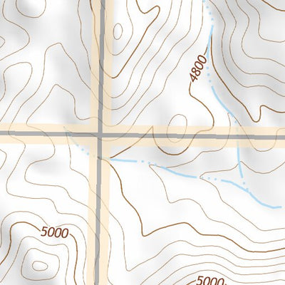 39118NW Page 5 Carson Sink Topo Preview 2