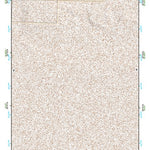 39118NW Page 35 Carson Sink Topo Preview 1