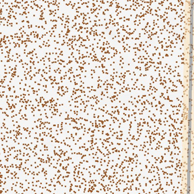 39118NW Page 48 Carson Sink Topo Preview 2