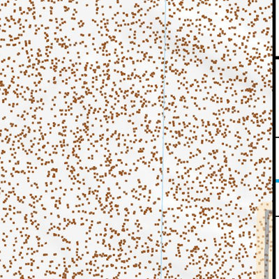39118NW Page 48 Carson Sink Topo Preview 3