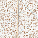 39118NW Page 54 Carson Sink Topo Preview 3