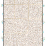 39118NW Page 60 Carson Sink Topo Preview 1
