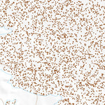 39118NW Page 68 Carson Sink Topo Preview 3