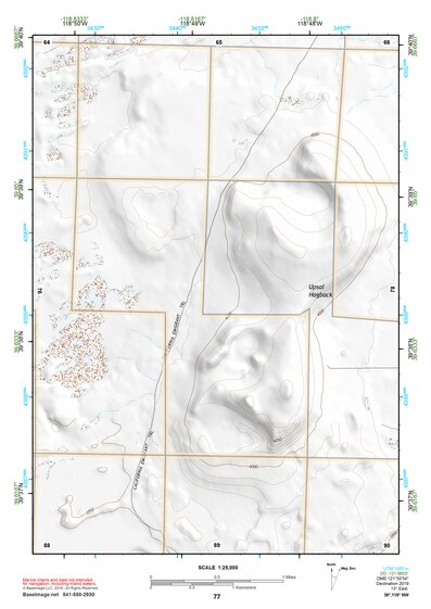 39118NW Page 77 Carson Sink Topo Preview 1