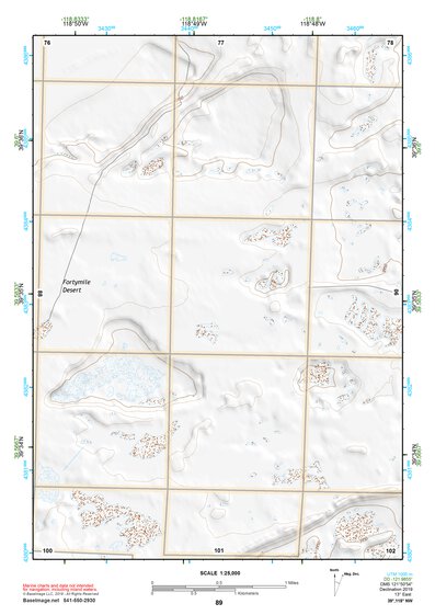39118NW Page 89 Carson Sink Topo Preview 1