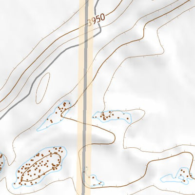 39118NW Page 89 Carson Sink Topo Preview 3