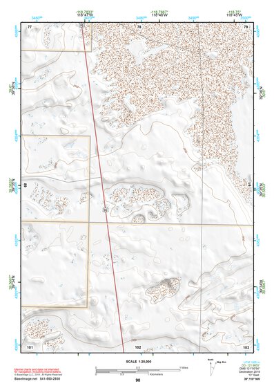 39118NW Page 90 Carson Sink Topo Preview 1