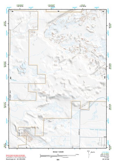 39118NW Page 101 Carson Sink Topo Preview 1