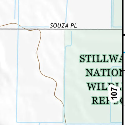 39118NW Page 106 Carson Sink Topo Preview 3