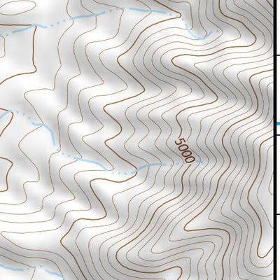 39118SE Page 1 Fallon Topo Preview 3